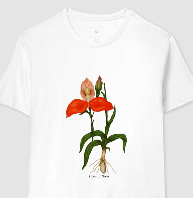 Camiseta Disa uniflora t-shirt