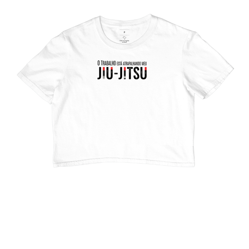 trabalho x jiujitsu
