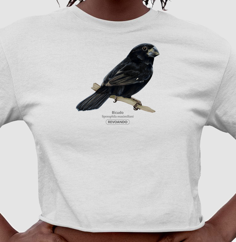 Aves do Brasil - Bicudo - Cropped