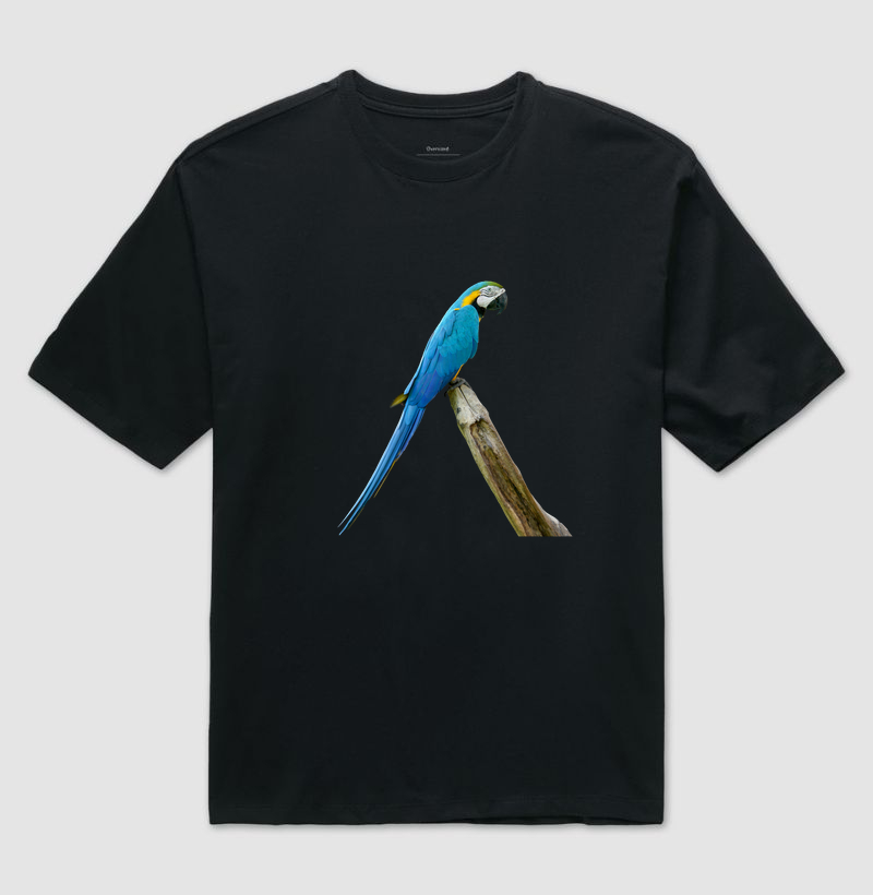 Arara-Azul