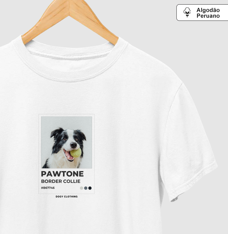 Pawtone Border Collie