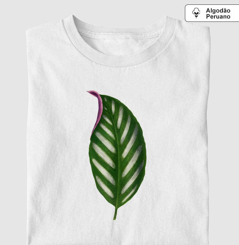 Maranta Porteana