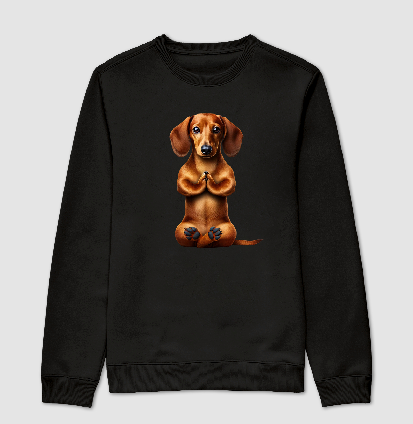 Dachshund Gratidão