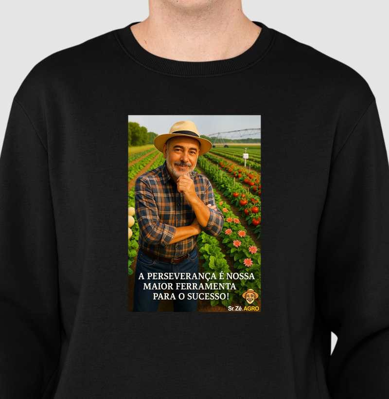 Ferramenta do Sucesso (Perseverança)