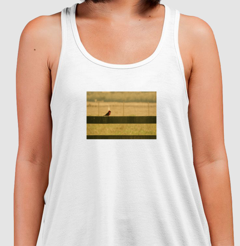 Pássaro Príncipe - Heritage