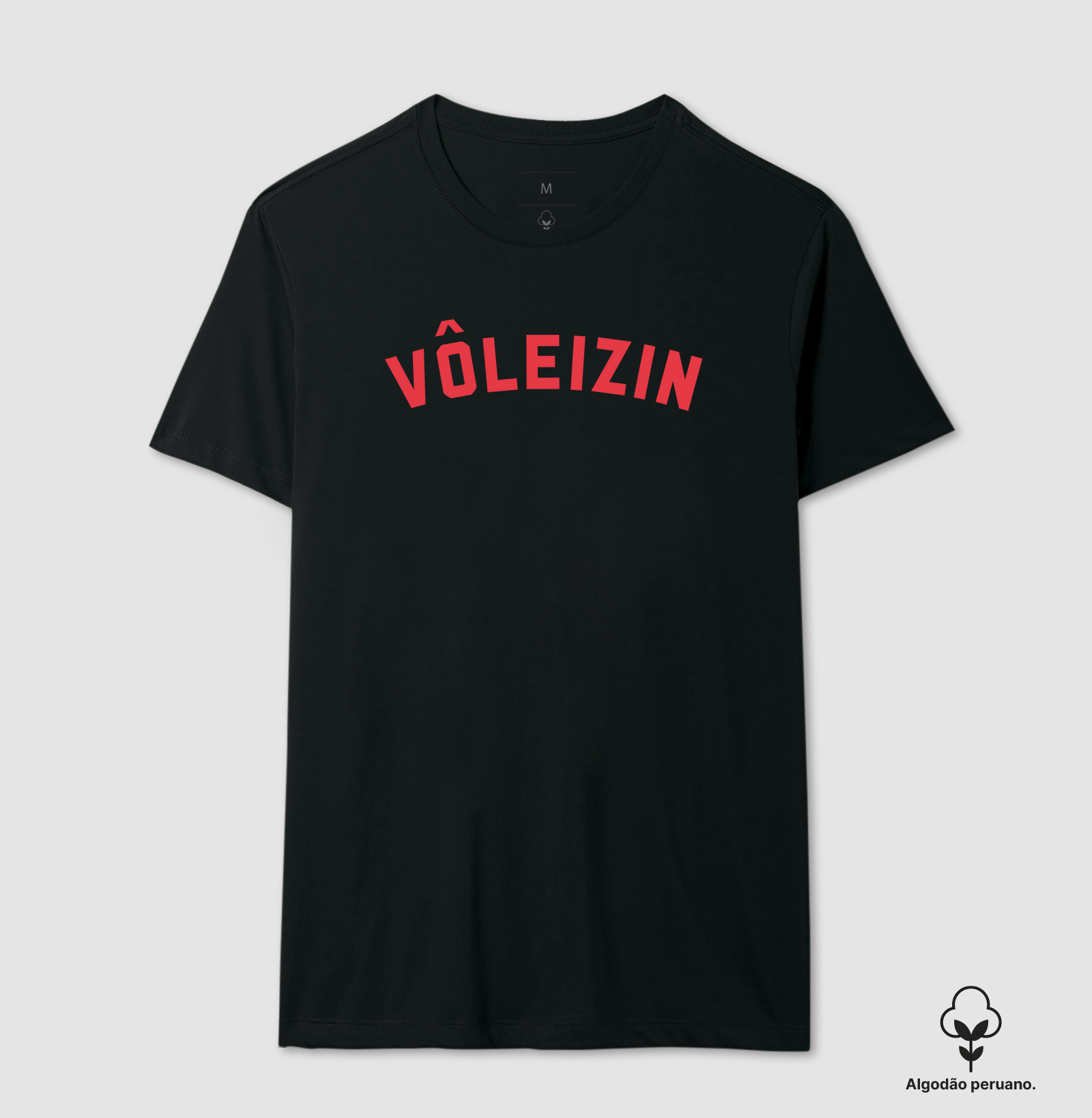 Vôleizin