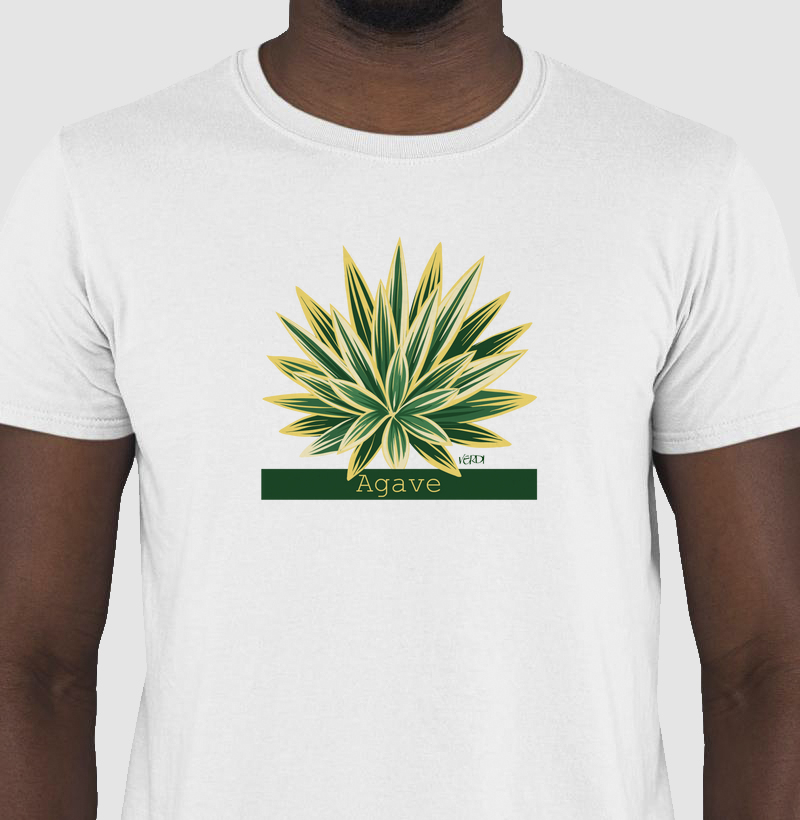 Agave 2