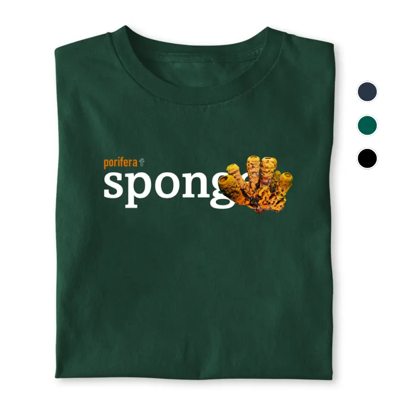 Sponge