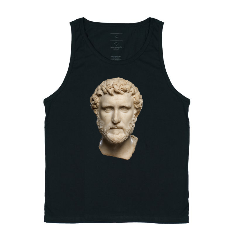 ANTONINUS PIU - Stabilitas