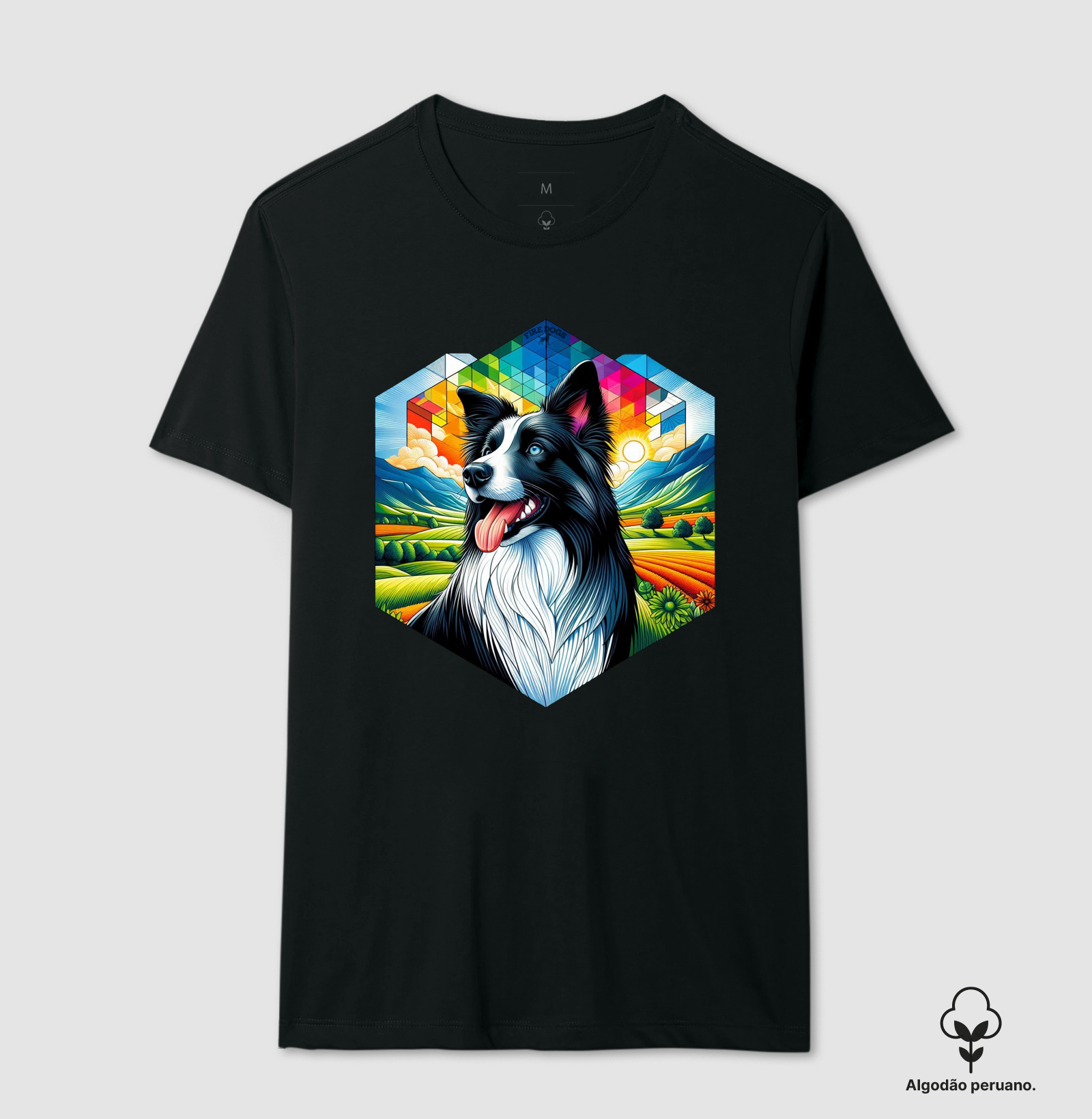 Border Collie Colorful
