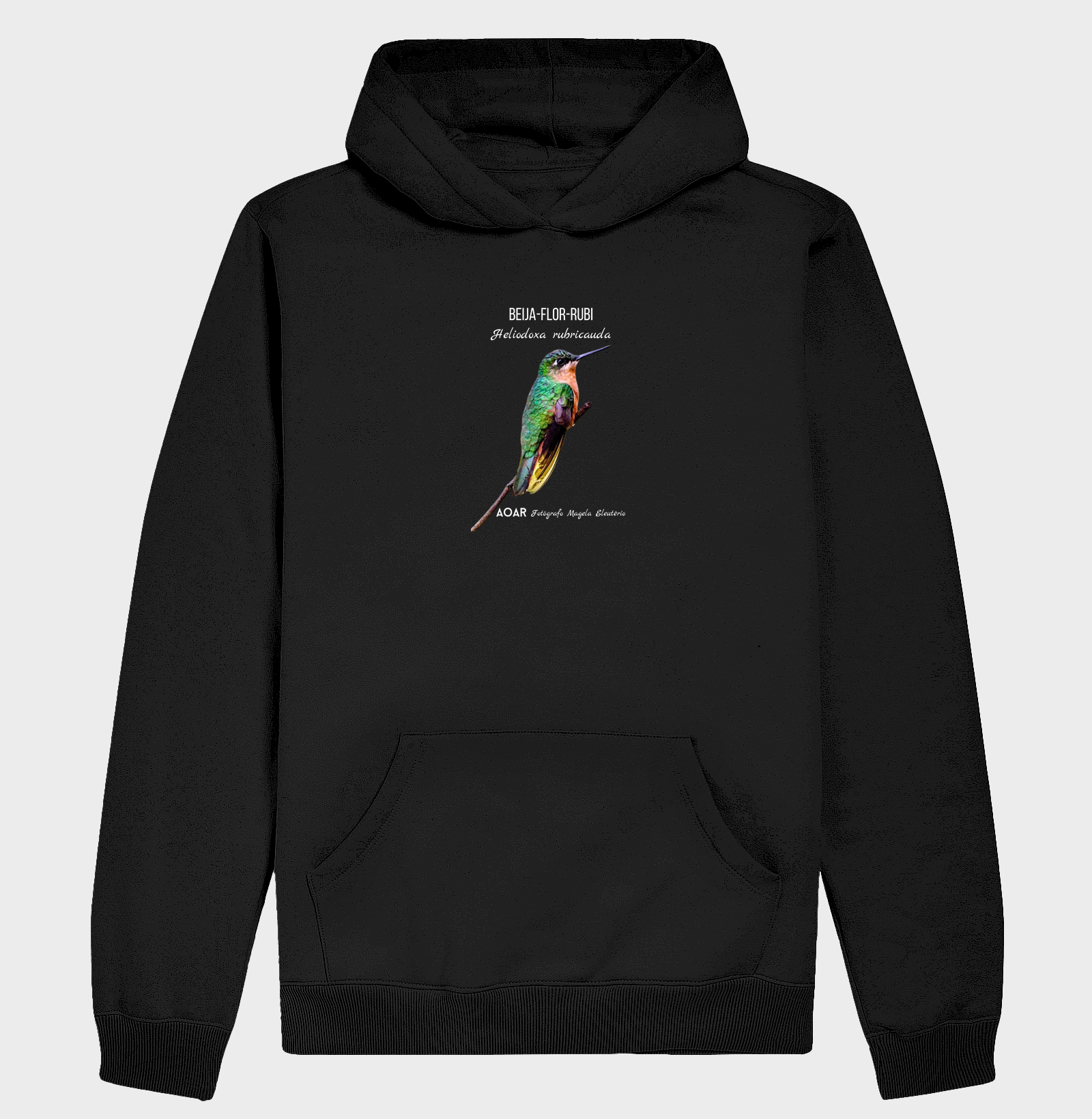 Aves da mata atlântica com Magela Eleutério BEIJA-FLOR-RUBI