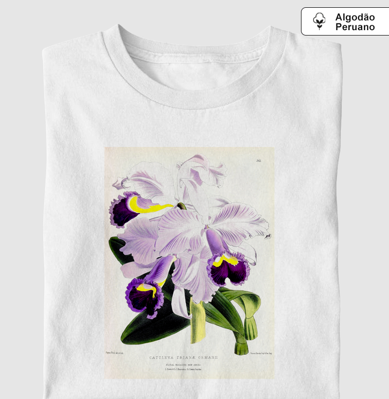 Cattleya trianae