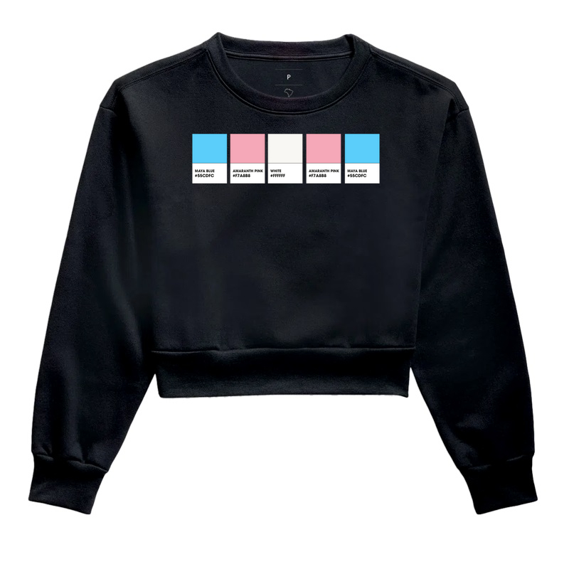 Cores Bandeira Trans