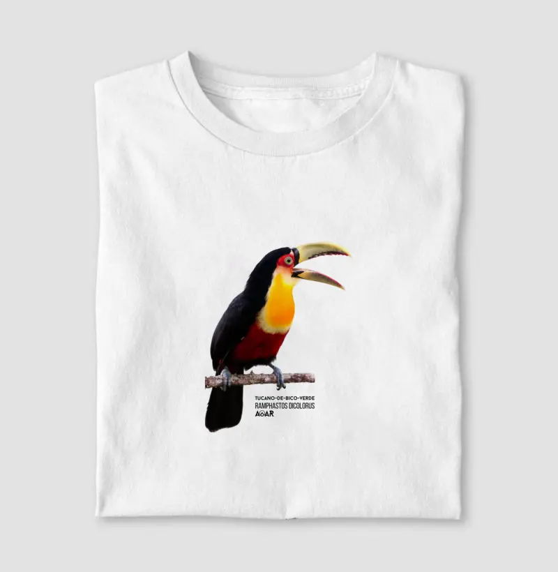 AVE TUCANO-DE-BICO-VERDE