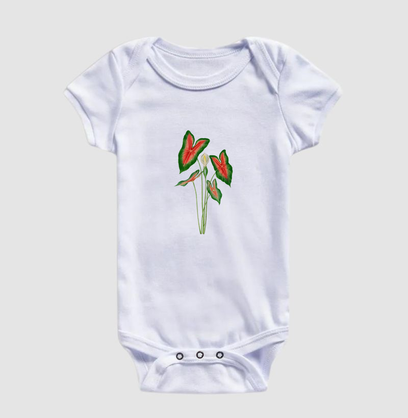 Caladium