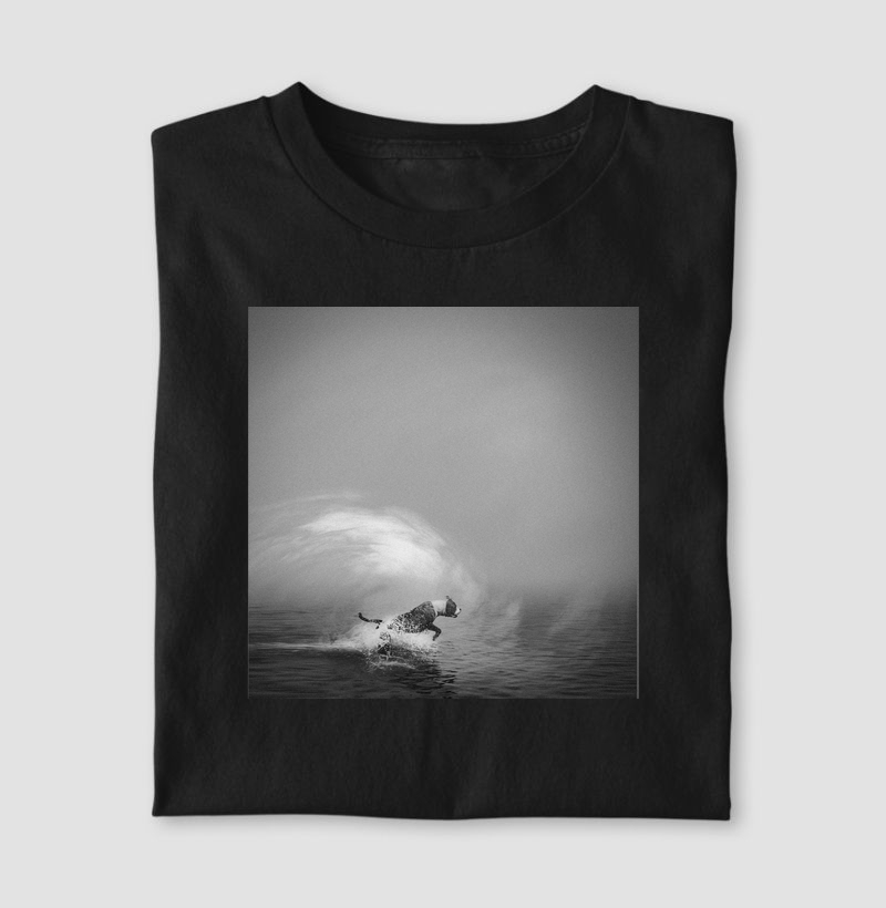 Surfs Up