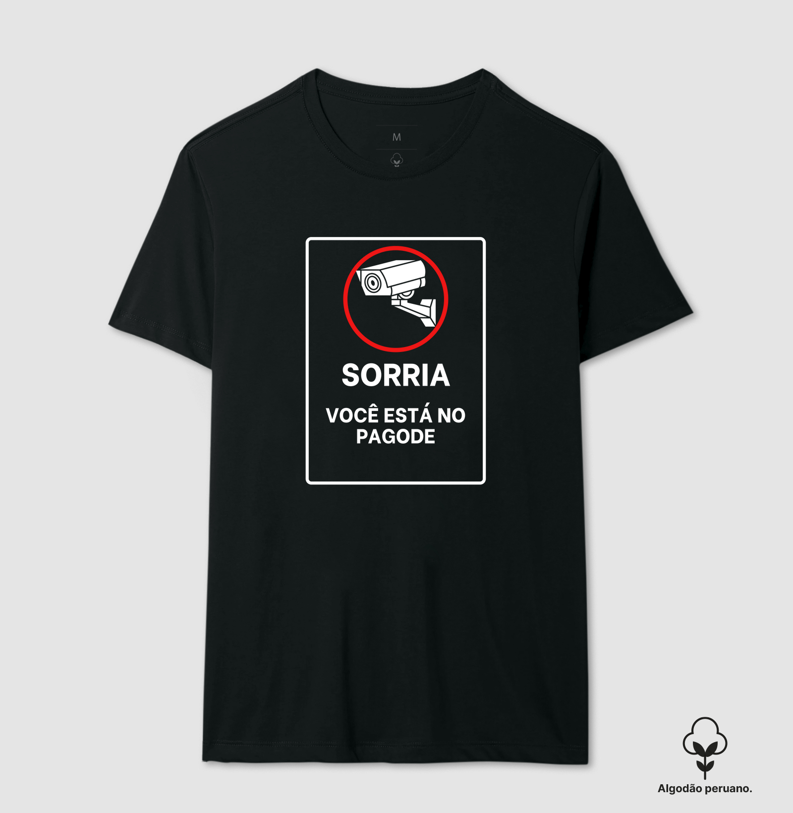 Sorria, Você Está no Pagode