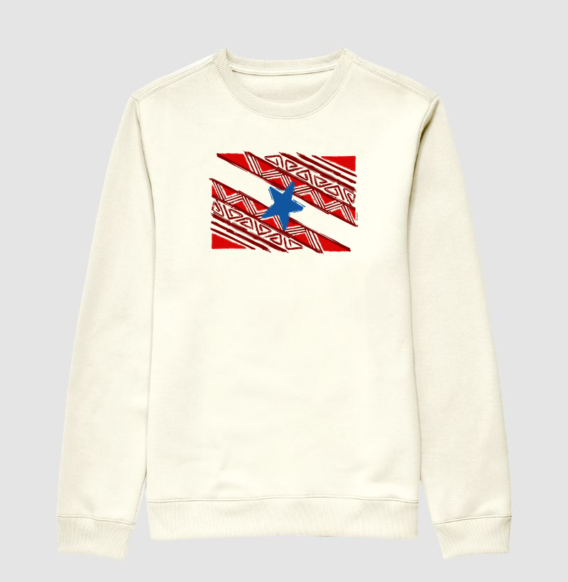 Bandeira do Pará Grafismo