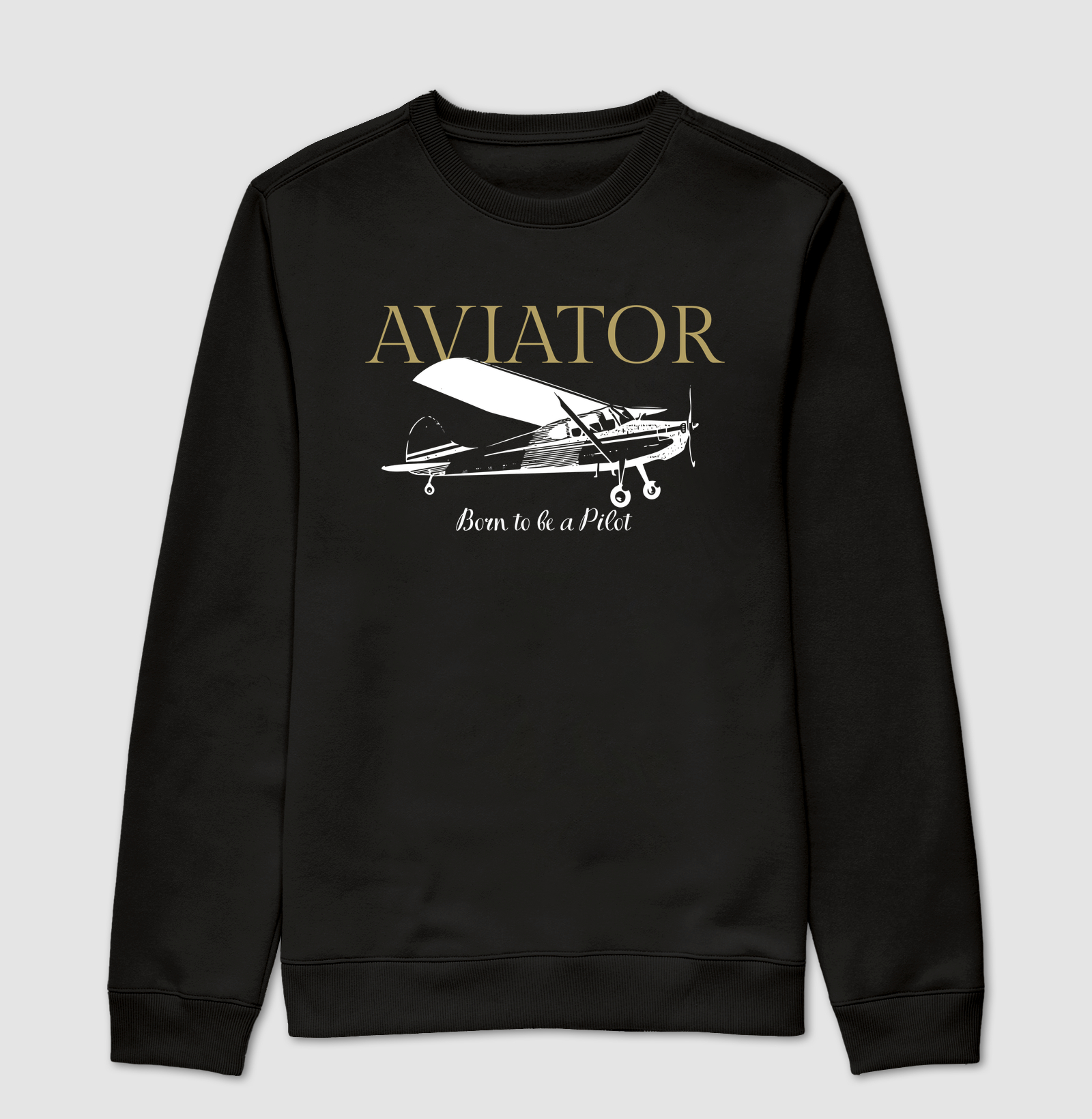 Aviator - Born to be a Pilot