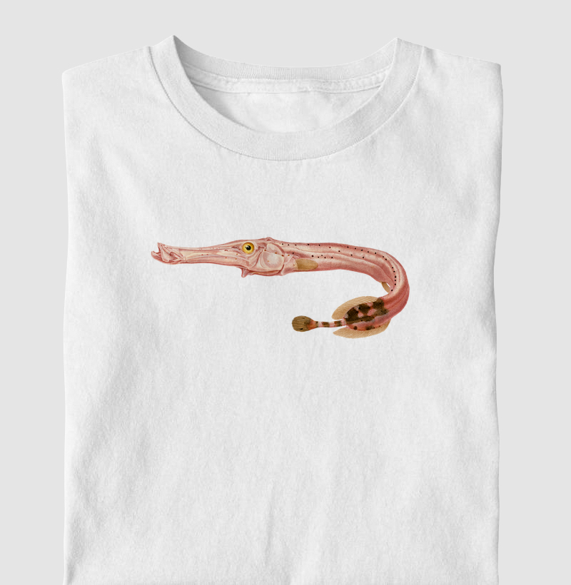 Peixe trombeta