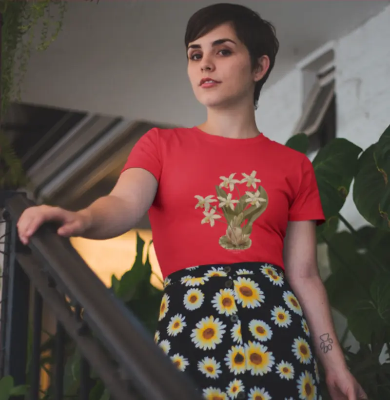 Camiseta Feminina Hoffmannseggella ( Laelia ) longipes