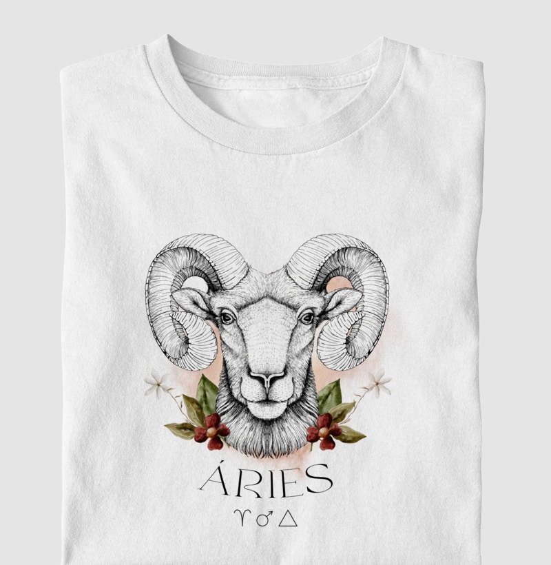 Áries
