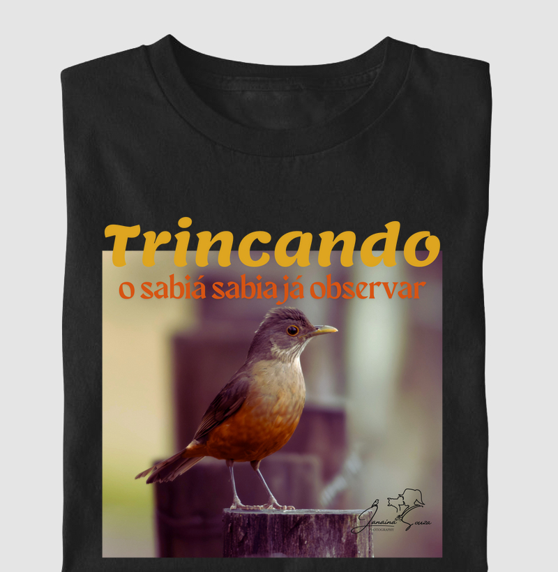 Coleção Observadores 1.0