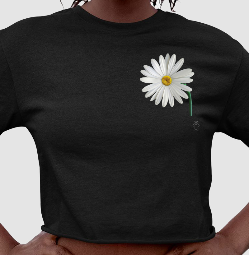 Coleção flores