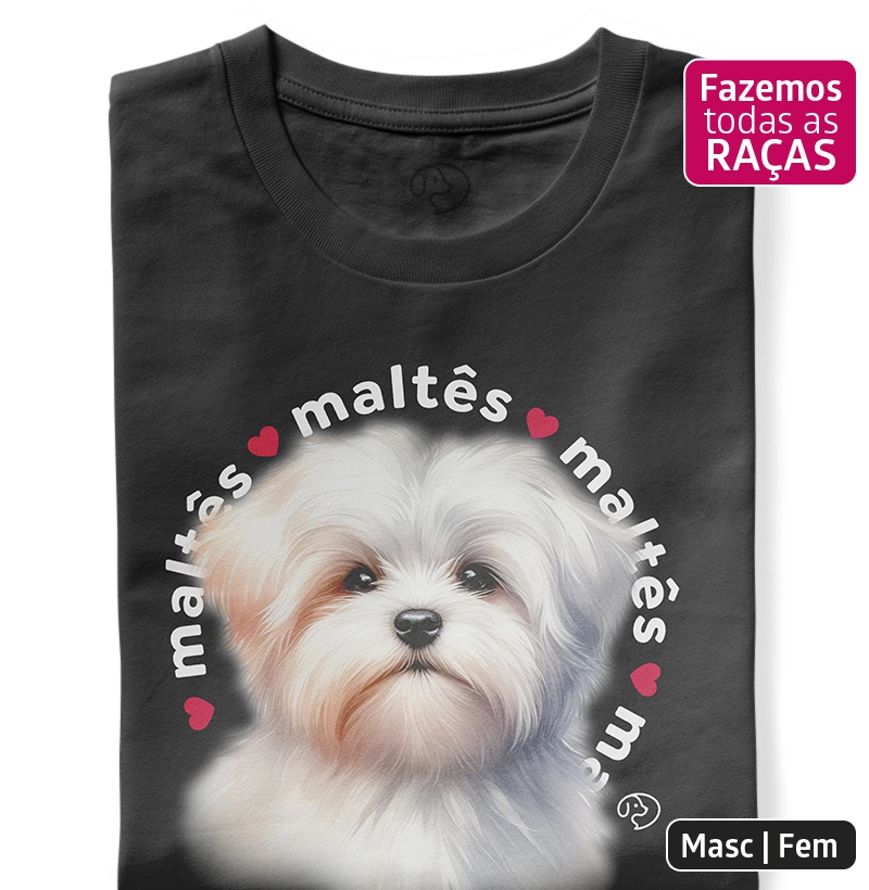 Maltês Puppy
