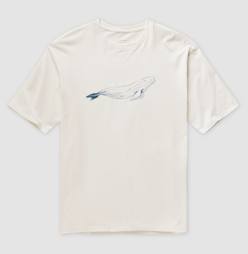 Beluga