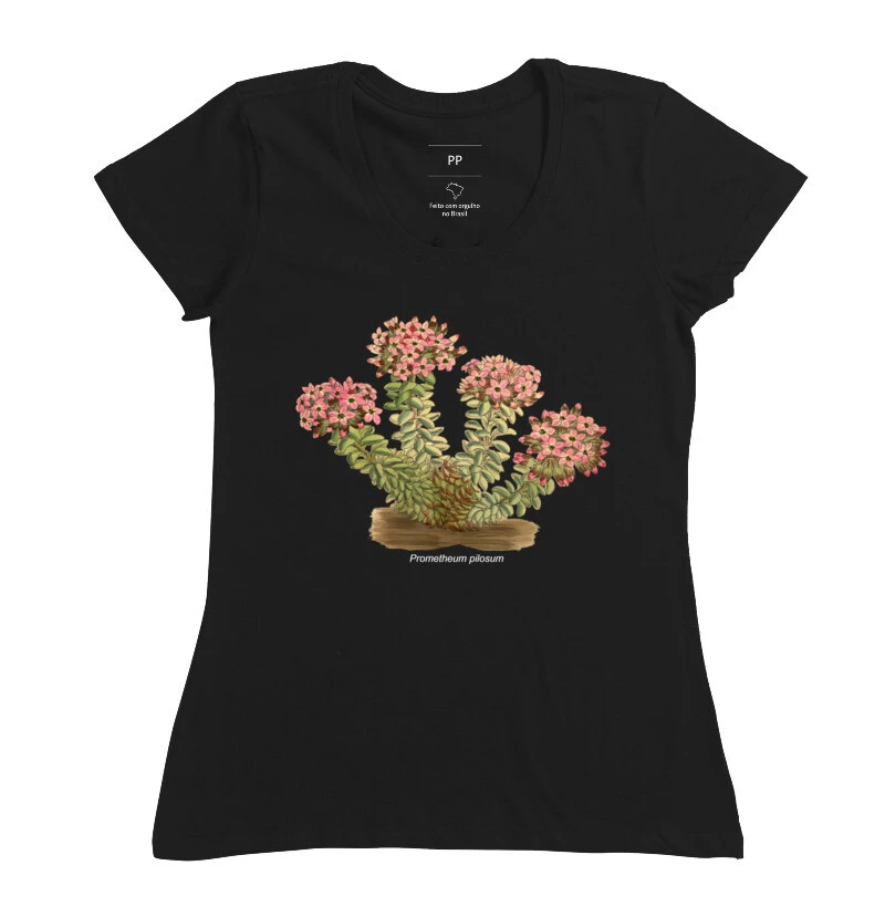 Baby Look Prometheum ( Sedum ) pilosum