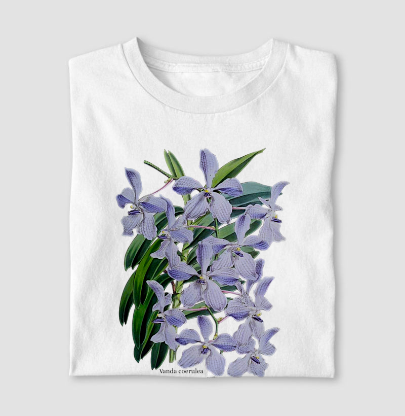 Camiseta Vanda coerulea