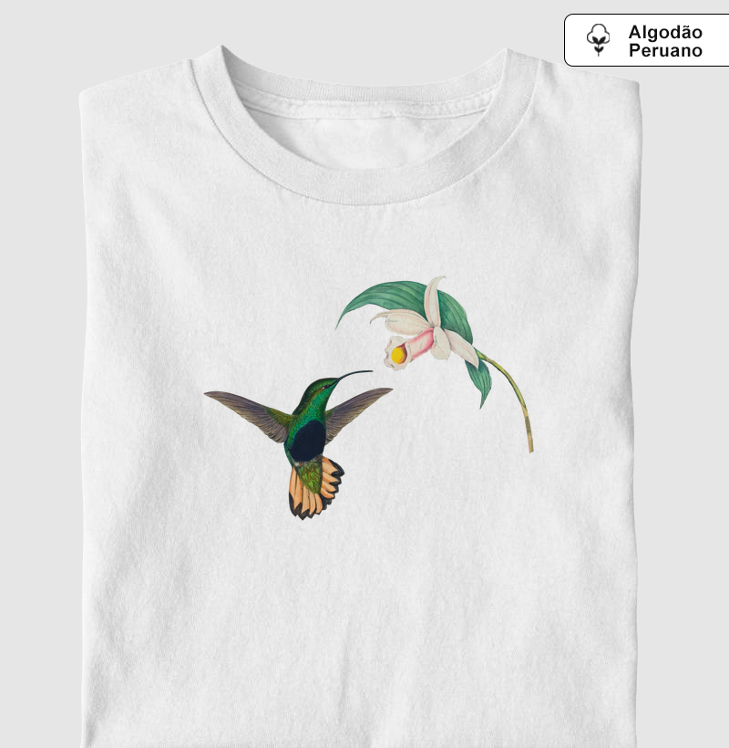 Beija-flor-aveludado