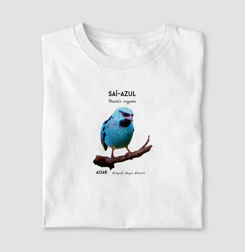 Aves da mata atlântica com Magela Eleutério SAÍ-AZUL