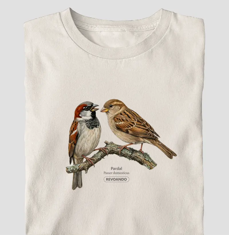 Traços Alados - Pardal - Oversized