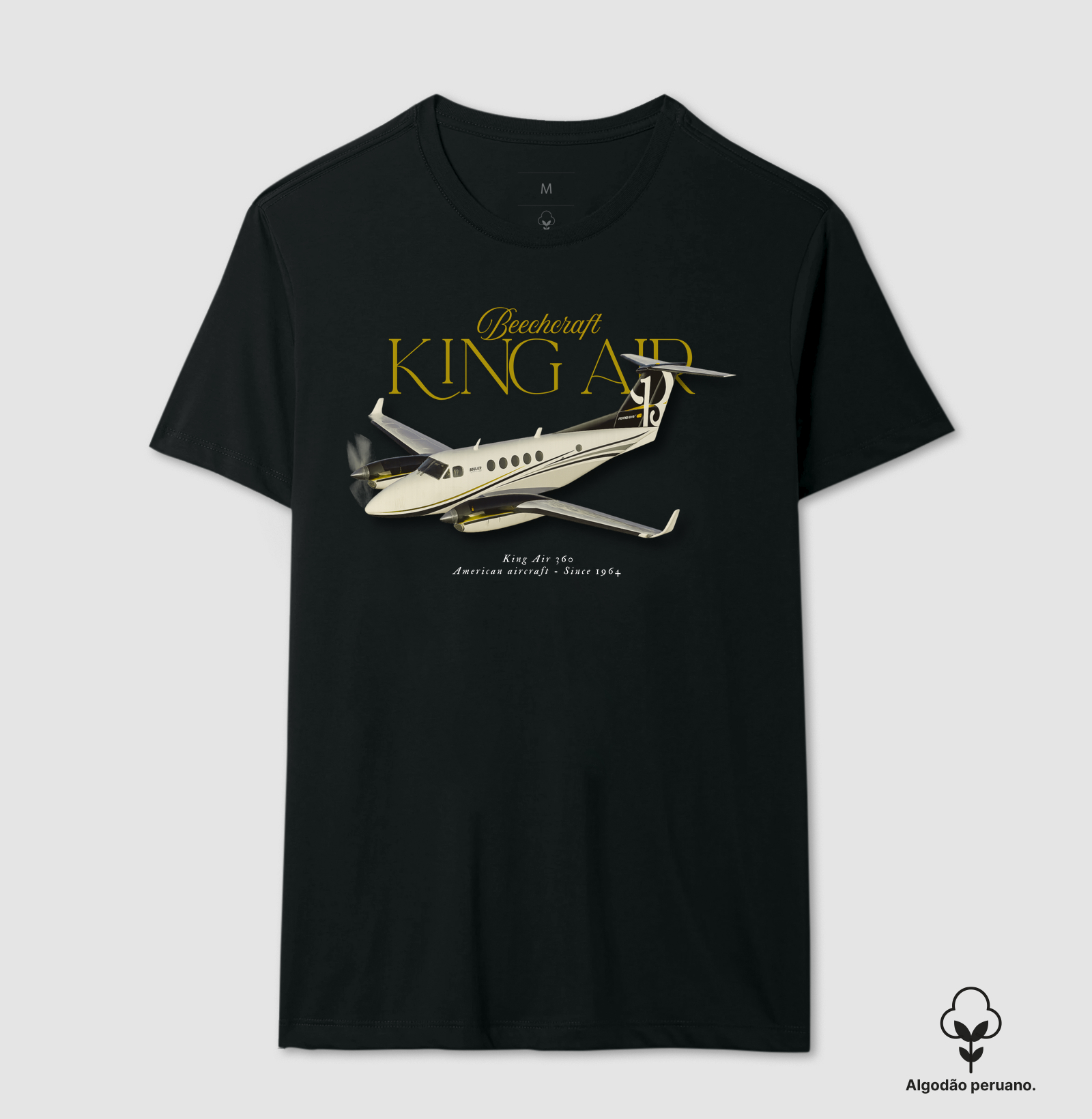 Beechcraft King Air 360