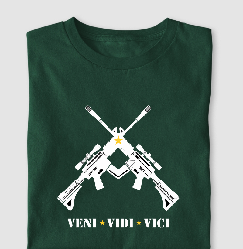 VENI VIDI VICI