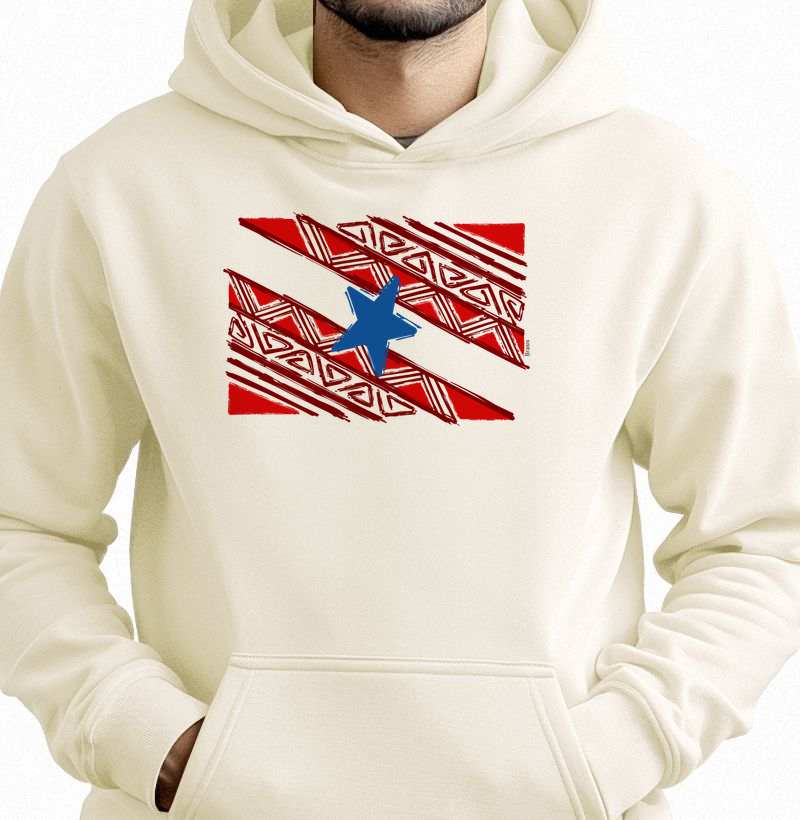 Bandeira do Pará Grafismo