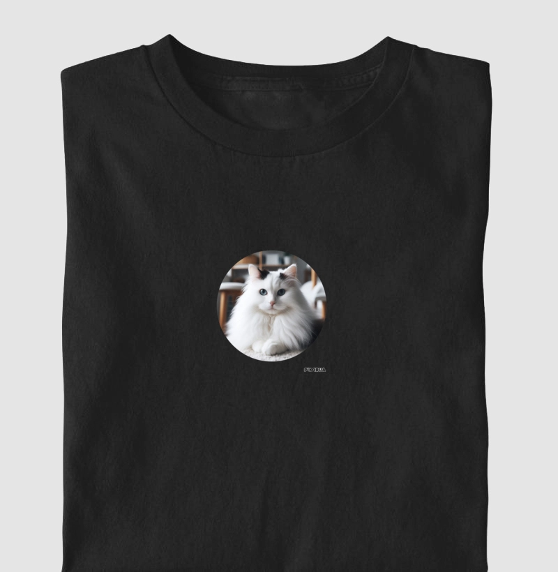 Gato #11
