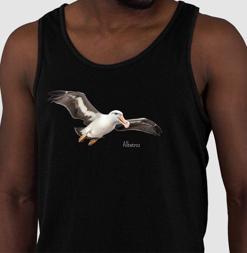 Albatroz