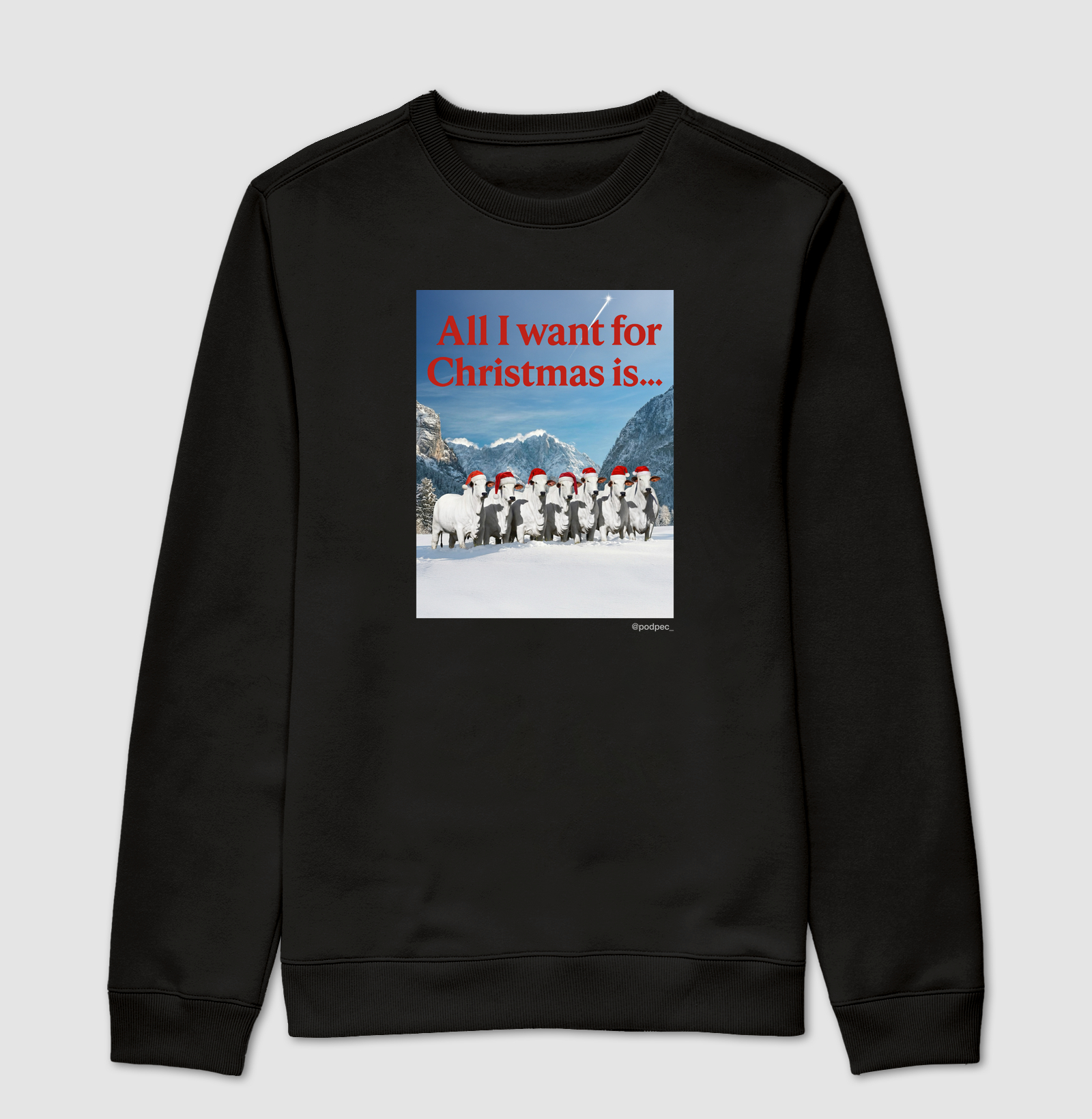 All I Want for Christmas is...