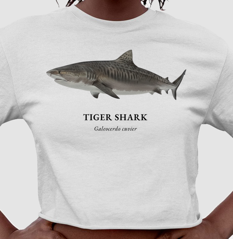 Tiger Shark