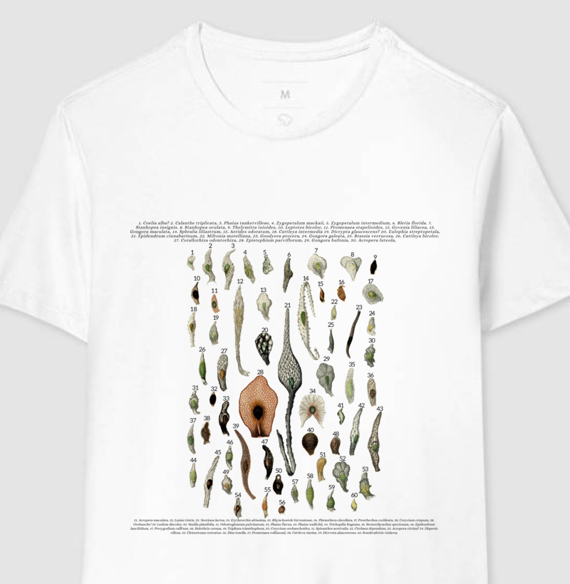 Camiseta Sementes de Orquídeas t-shirt