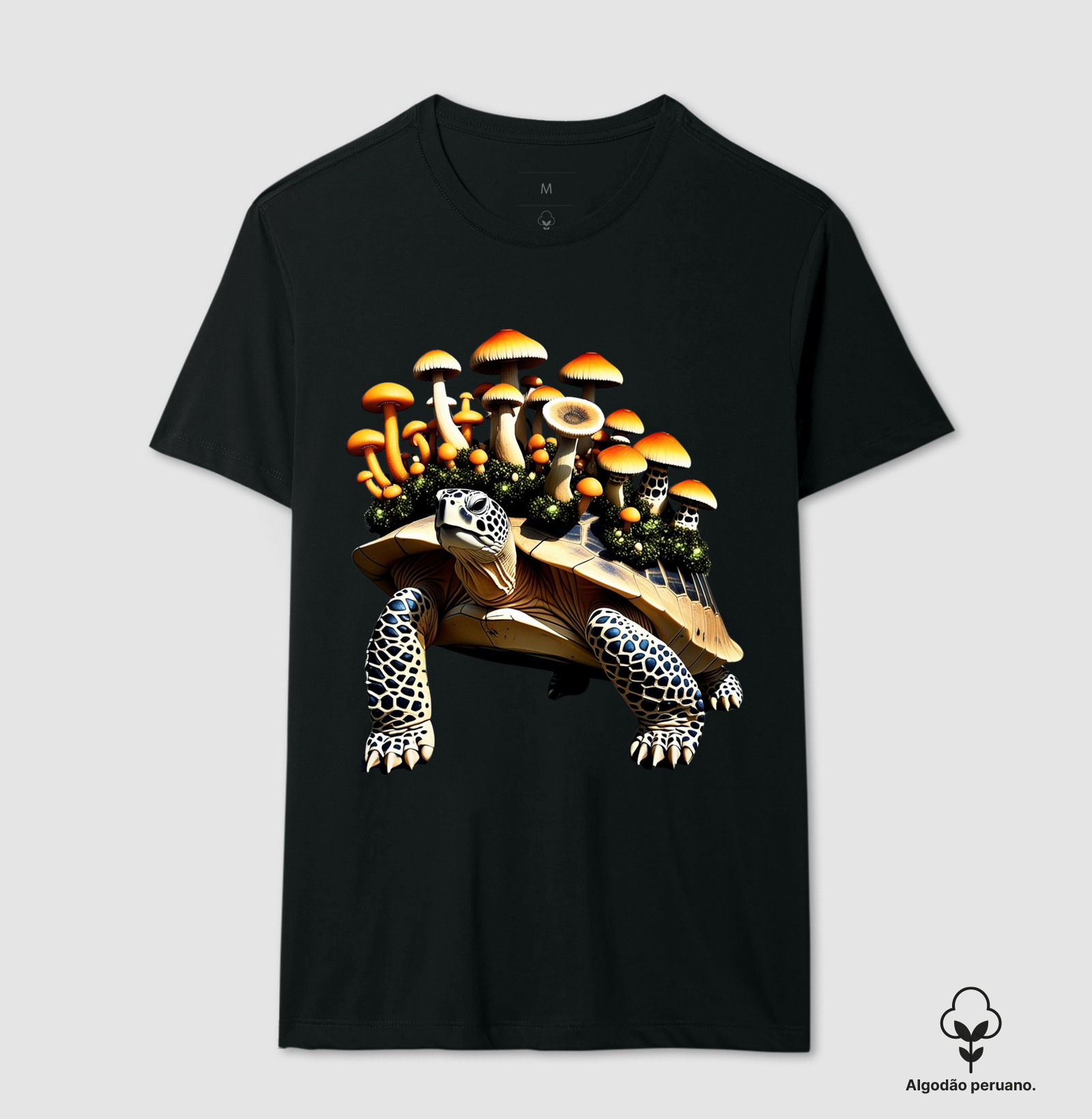 Tartaruga