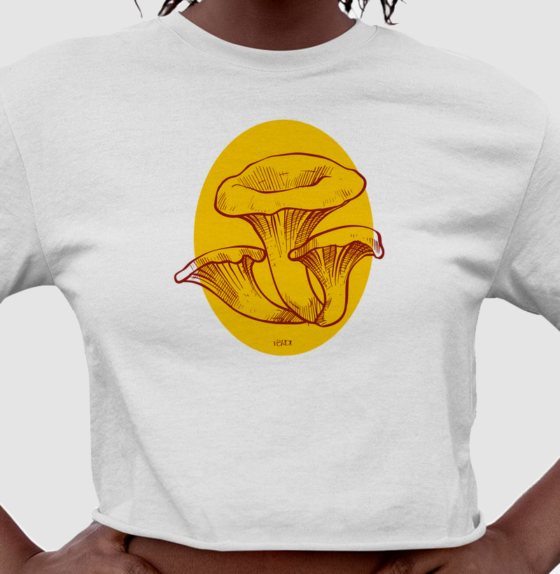 Cogumelos fundo amarelo