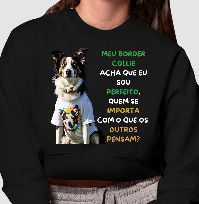 Meu border collie acha que eu sou perfeito