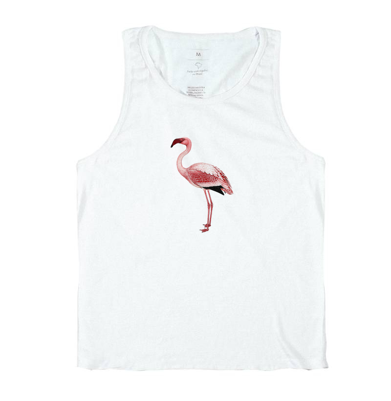 Lesser Flamingo