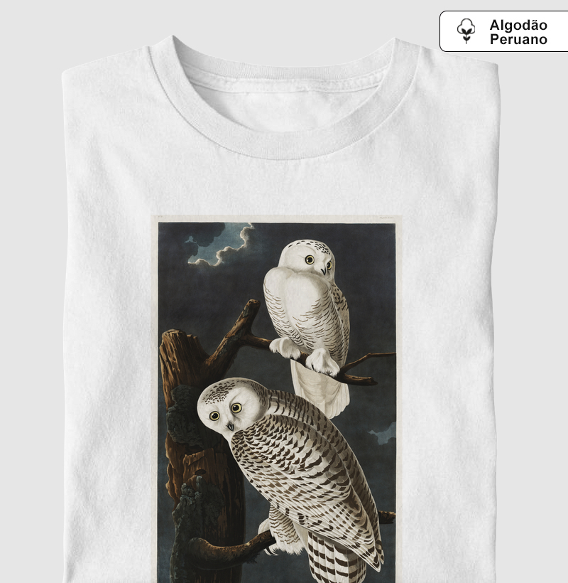 Snowy Owl