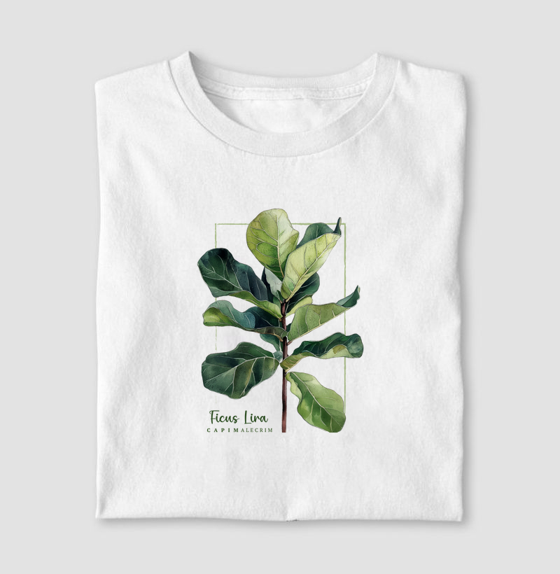 Ficus Lira