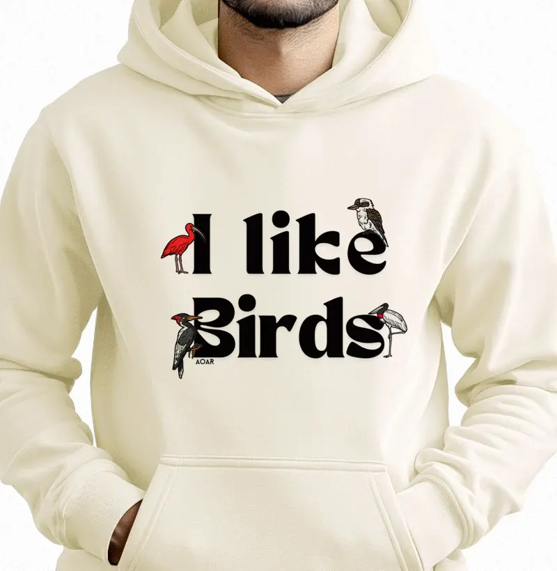 I like BIRDS